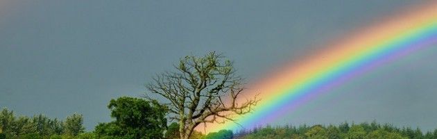 Rainbow